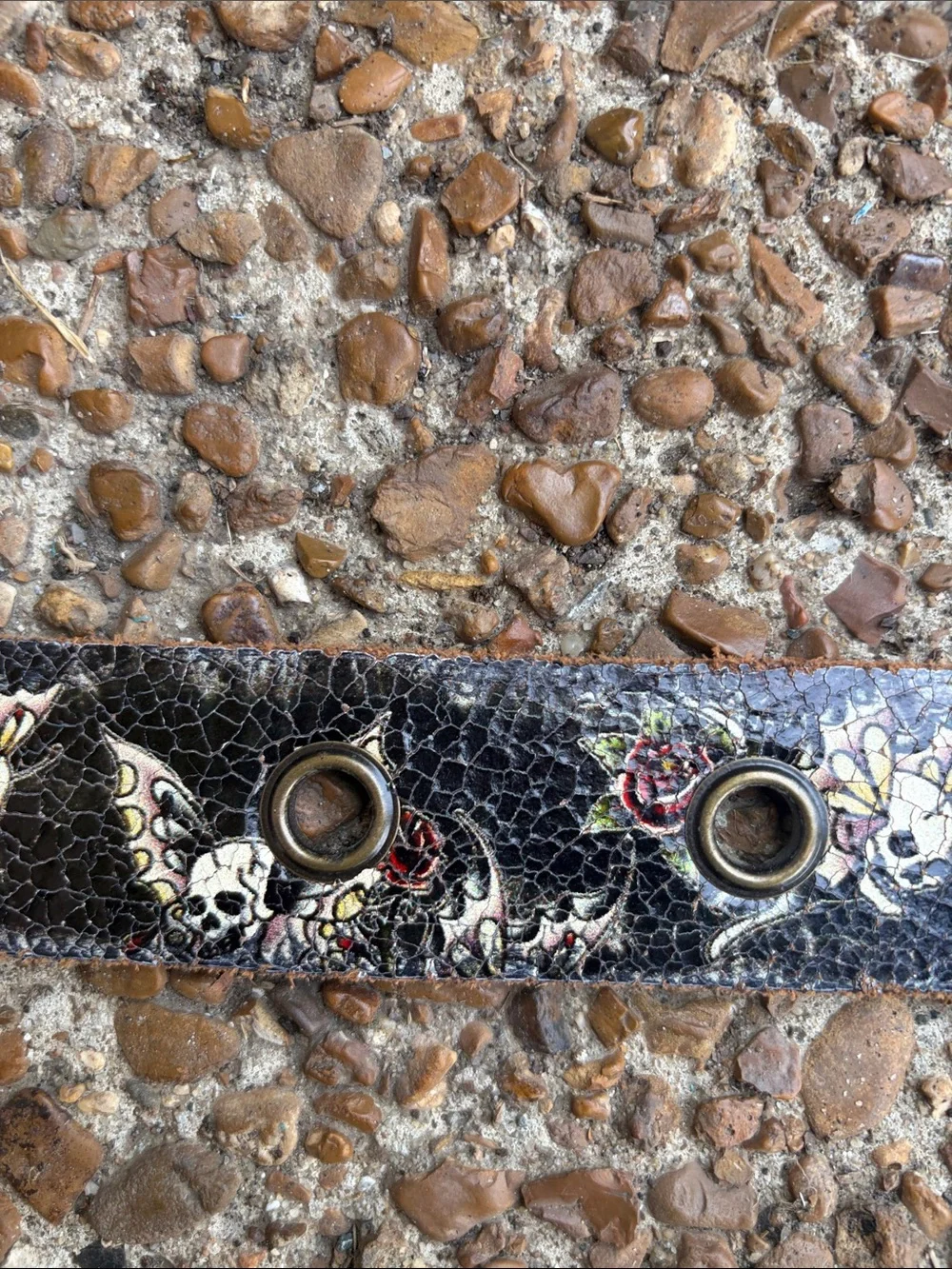 Ed Hardy Black Leather Belt with Multicolor Graphic Accents